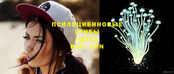 гашик Зеленокумск