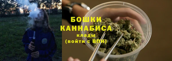 ПСИЛОЦИБИНОВЫЕ ГРИБЫ Зеленодольск