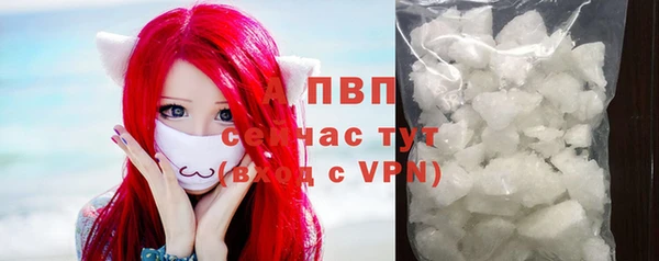 ПСИЛОЦИБИНОВЫЕ ГРИБЫ Зеленодольск