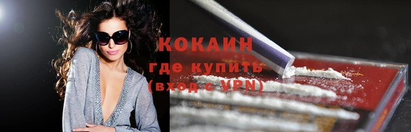 гашик Зеленокумск