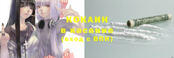 ПСИЛОЦИБИНОВЫЕ ГРИБЫ Зеленодольск