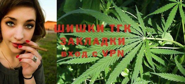 гашик Зеленокумск