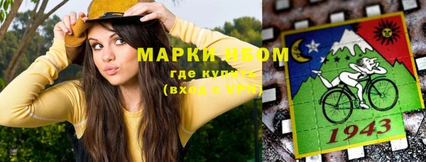 гашик Зеленокумск