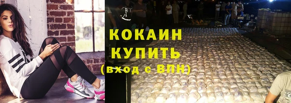 гашик Зеленокумск